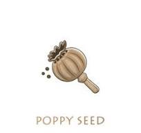 Poppy pods and feem 