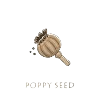 Poppy pods and feem
